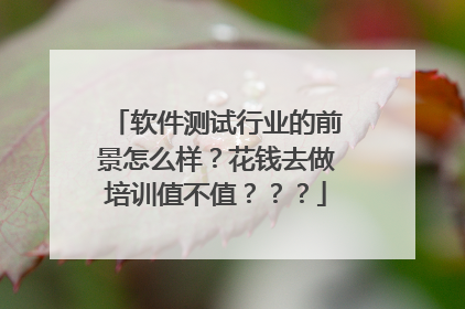 软件测试行业的前景怎么样?花钱去做培训值不值???