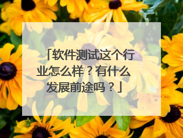 软件测试这个行业怎么样？有什么发展前途吗？