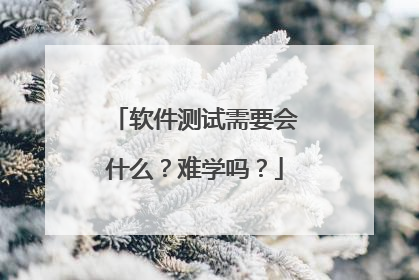软件测试需要会什么？难学吗？