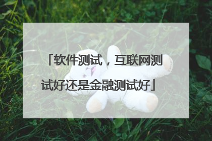 软件测试，互联网测试好还是金融测试好