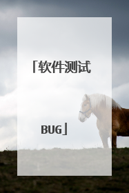 软件测试BUG