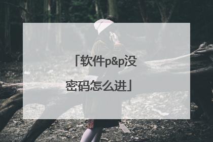 软件p&p没密码怎么进