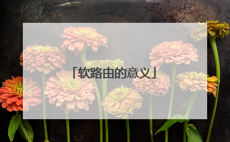 软路由的意义