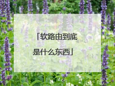 软路由到底是什么东西