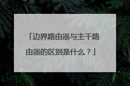 边界路由器与主干路由器的区别是什么？