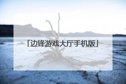 边锋游戏大厅手机版