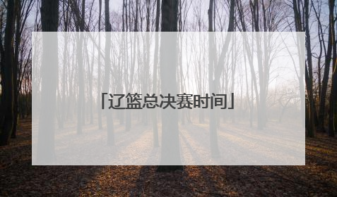 辽篮总决赛时间