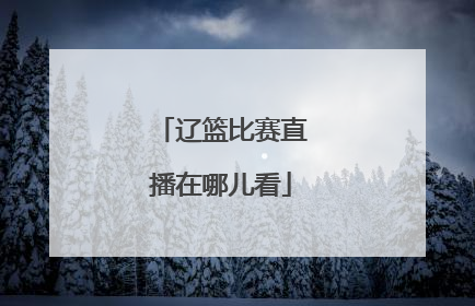 辽篮比赛直播在哪儿看