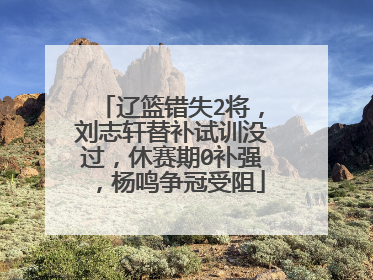 辽篮错失2将，刘志轩替补试训没过，休赛期0补强，杨鸣争冠受阻