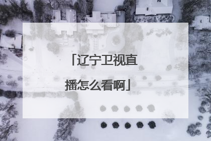 辽宁卫视直播怎么看啊