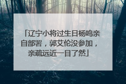辽宁小将过生日杨鸣亲自部署，郭艾伦没参加，亲疏远近一目了然