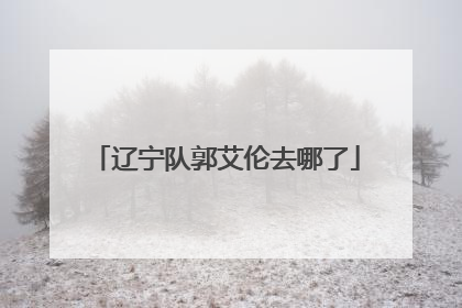 辽宁队郭艾伦去哪了