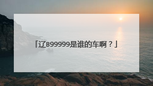 辽B99999是谁的车啊?