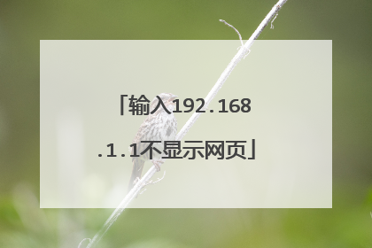 输入192.168.1.1不显示网页