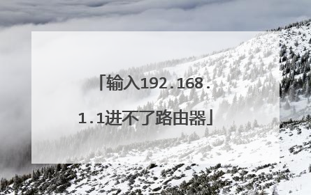 输入192.168.1.1进不了路由器