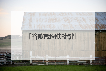 谷歌截图快捷键