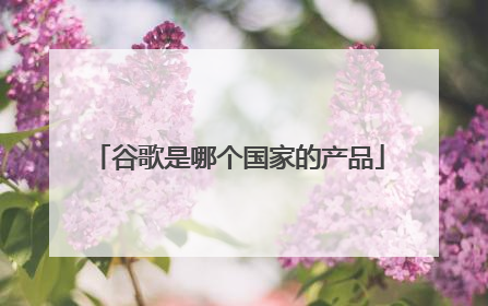 谷歌是哪个国家的产品