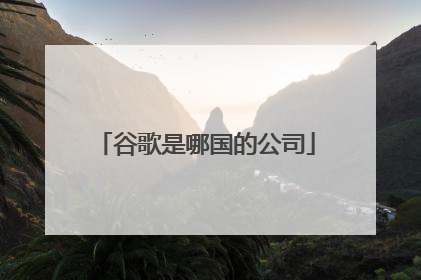谷歌是哪国的公司