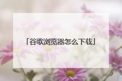 谷歌浏览器怎么下载