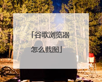 谷歌浏览器怎么截图