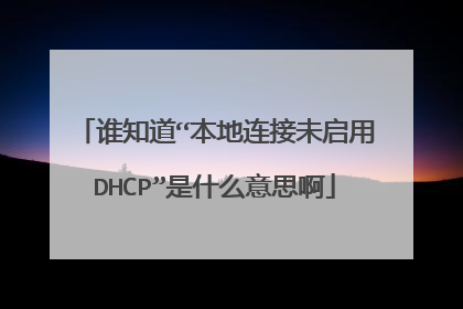 谁知道“本地连接未启用DHCP”是什么意思啊