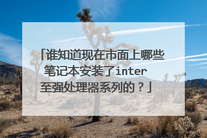 谁知道现在市面上哪些笔记本安装了inter至强处理器系列的?