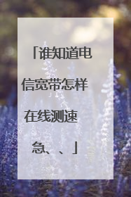 谁知道电信宽带怎样在线测速 急、、