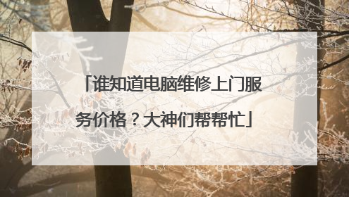 谁知道电脑维修上门服务价格？大神们帮帮忙