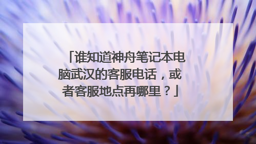 谁知道神舟笔记本电脑武汉的客服电话，或者客服地点再哪里？