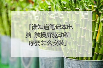 谁知道笔记本电脑 触摸屏驱动程序要怎么安装