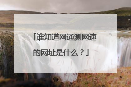 谁知道网通测网速的网址是什么?