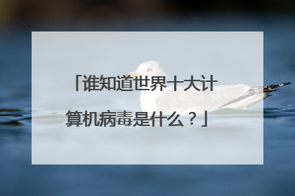 谁知道世界十大计算机病毒是什么?
