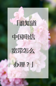 谁知道中国电信宽带怎么办理？