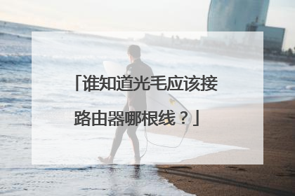 谁知道光毛应该接路由器哪根线？
