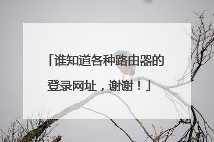 谁知道各种路由器的登录网址，谢谢！