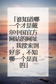 谁知道哪一个才是戴尔中国官方网站的网址，我搜索到好多，不知哪一个是真的