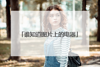 谁知道图片上的电器