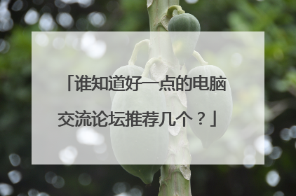 谁知道好一点的电脑交流论坛推荐几个?