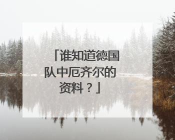 谁知道德国队中厄齐尔的资料？