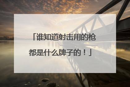 谁知道射击用的枪都是什么牌子的！