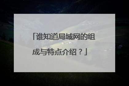谁知道局域网的组成与特点介绍?