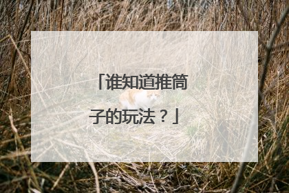 谁知道推筒子的玩法?