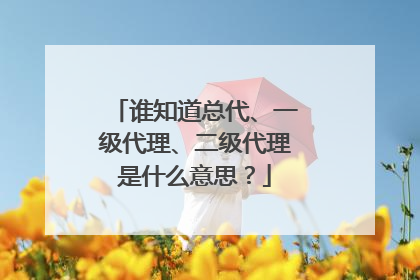 谁知道总代、一级代理、二级代理是什么意思?