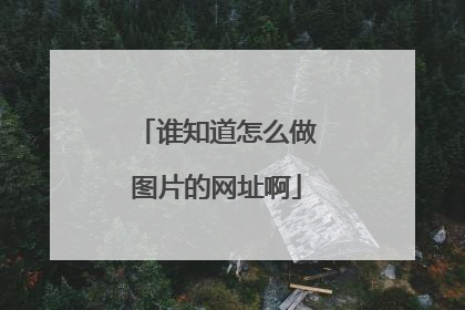 谁知道怎么做图片的网址啊