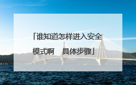 谁知道怎样进入安全模式啊 具体步骤