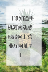 谁知道手机河南动感地带网上营业厅网址?