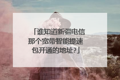 谁知道新疆电信那个宽带智能提速包开通的地址?