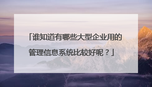 谁知道有哪些大型企业用的管理信息系统比较好呢?