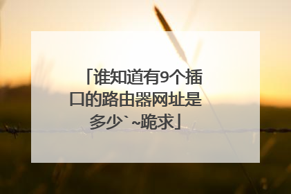 谁知道有9个插口的路由器网址是多少`~跪求