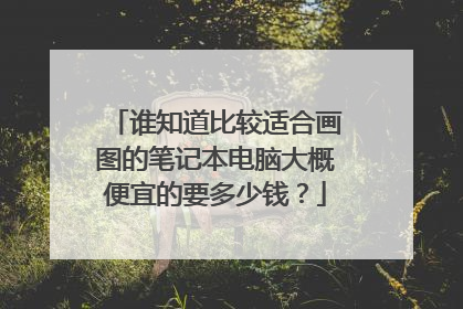 谁知道比较适合画图的笔记本电脑大概便宜的要多少钱?